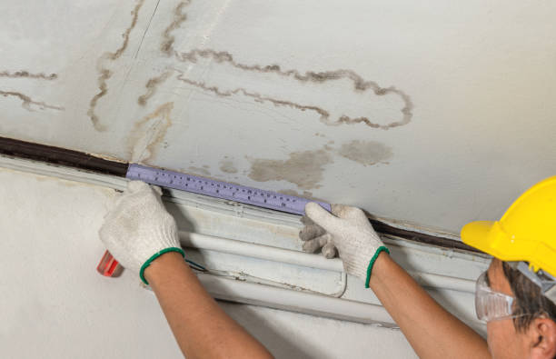 Reliable Mold Remediation contractor in Dahlonega, GA by Water Damage Irwin